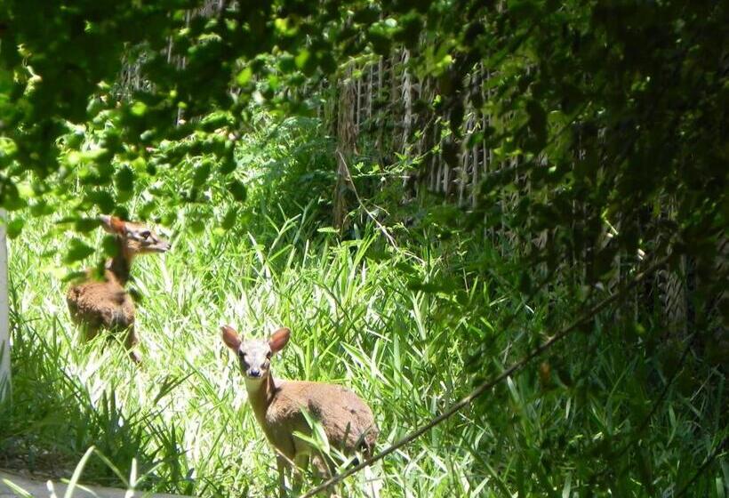 فندق Langi Langi Beach Bungalows