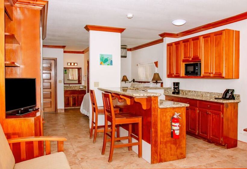 酒店 Mayan Princess