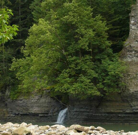 هتل On Dovbush Path