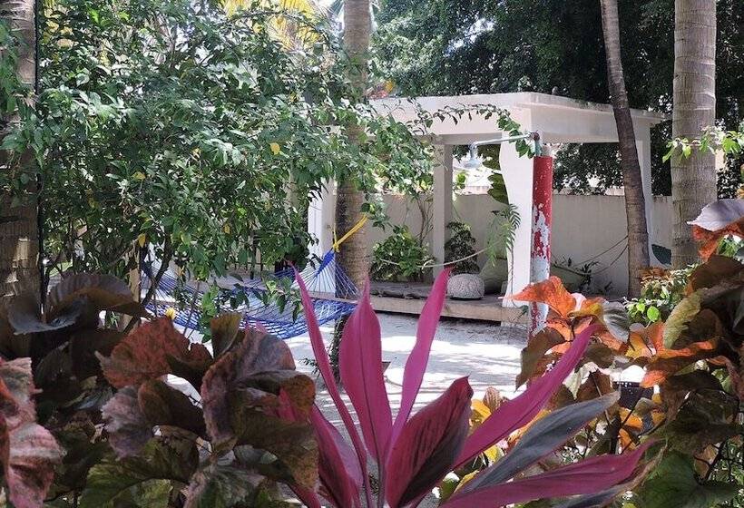 ホテル Paje By Night Bungalows