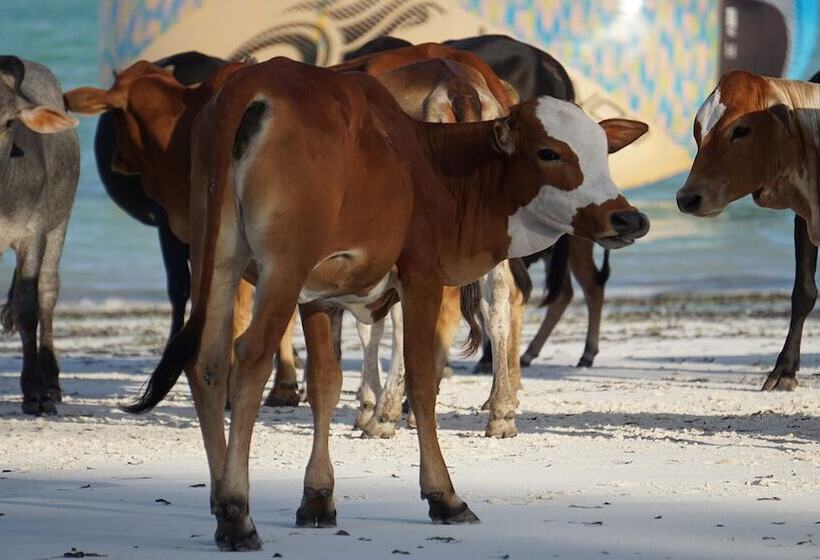 ホテル Paje By Night Bungalows