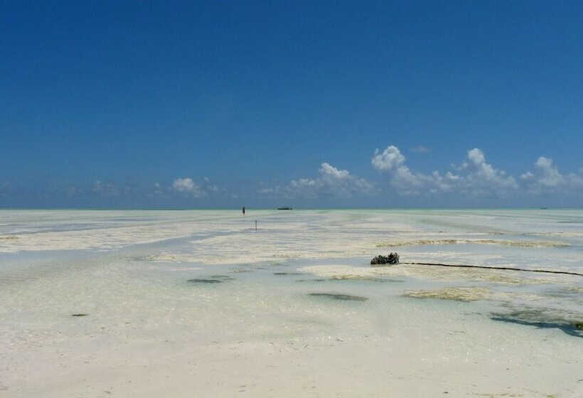 ホテル Paje By Night Bungalows