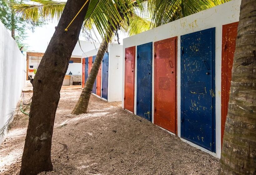 ホテル Paje By Night Bungalows