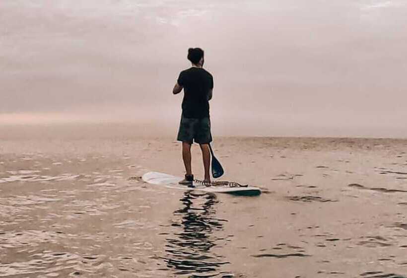 ホテル Paje By Night Bungalows