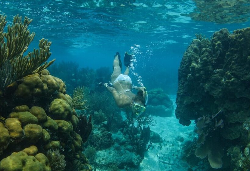 Отель Ranguana Caye Cabanas