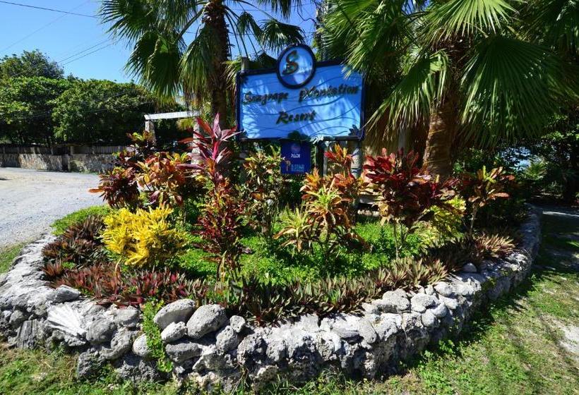 هتل Seagrape Plantation Resort & Dive Center