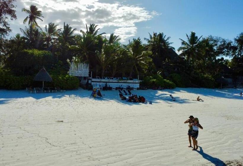 酒店 The Seles Boutique