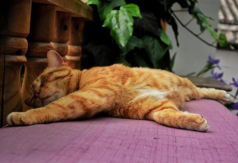 ホテル Tourist Courtyard