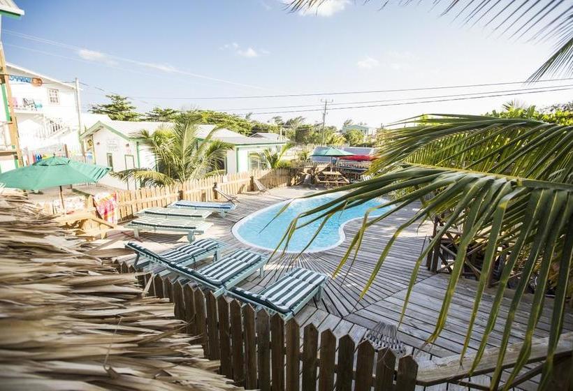 Pedro S Inn Backpackers Hostel