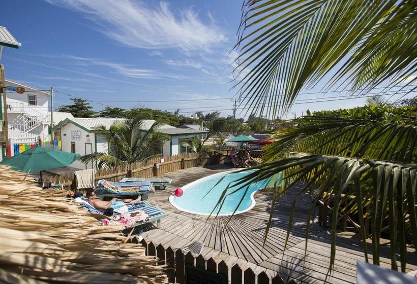 Pedro S Inn Backpackers Hostel