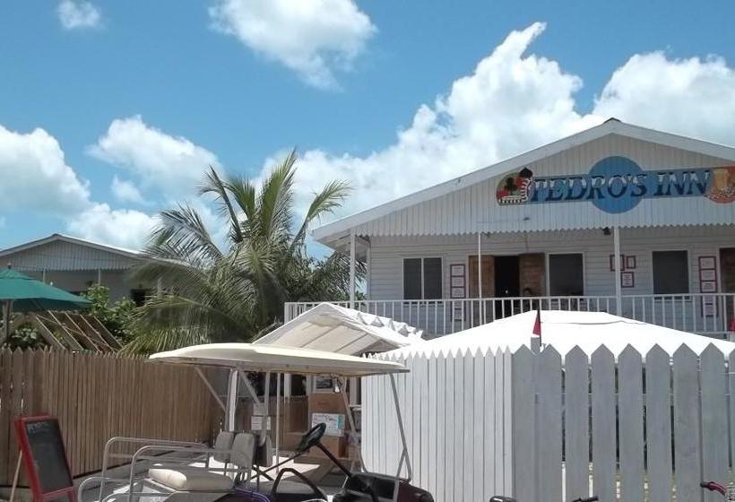 Pedro S Inn Backpackers Hostel