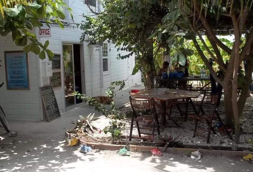 Pedro S Inn Backpackers Hostel