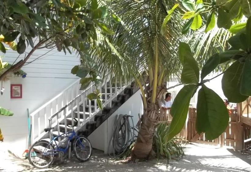 Pedro S Inn Backpackers Hostel