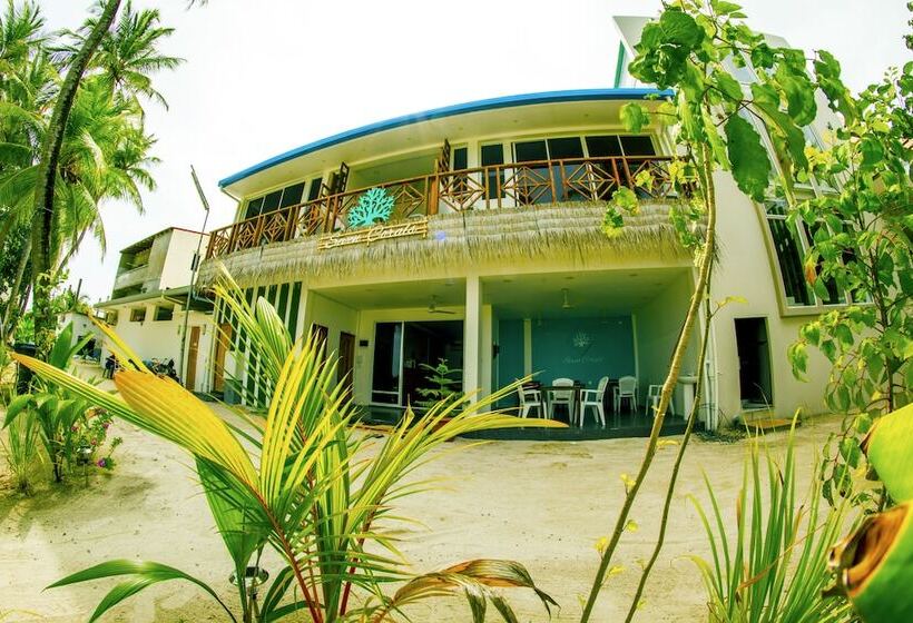 פנסיון Seven Corals