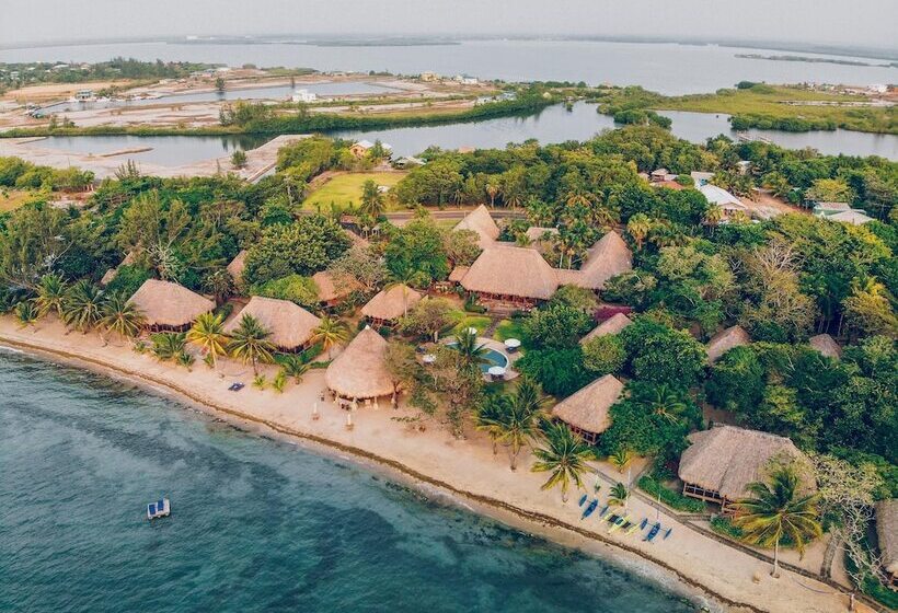 אתר נופש Turtle Inn By Francis Ford Coppola