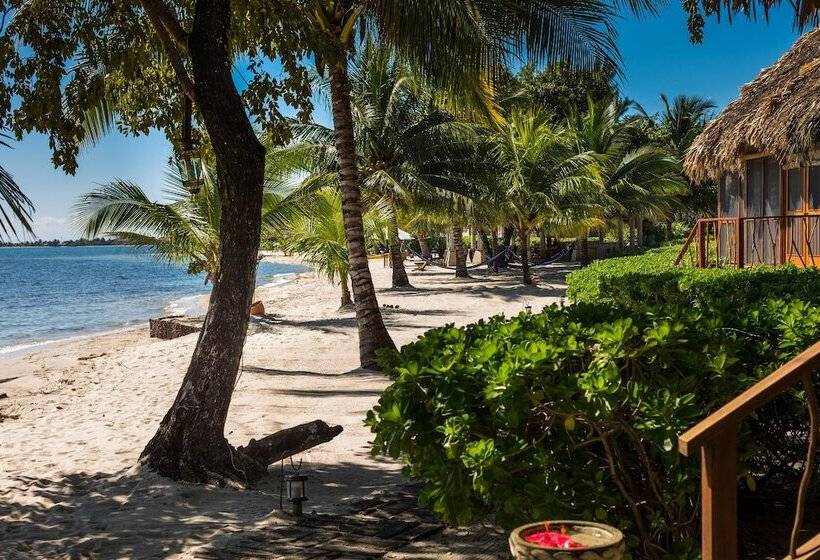 אתר נופש Turtle Inn By Francis Ford Coppola