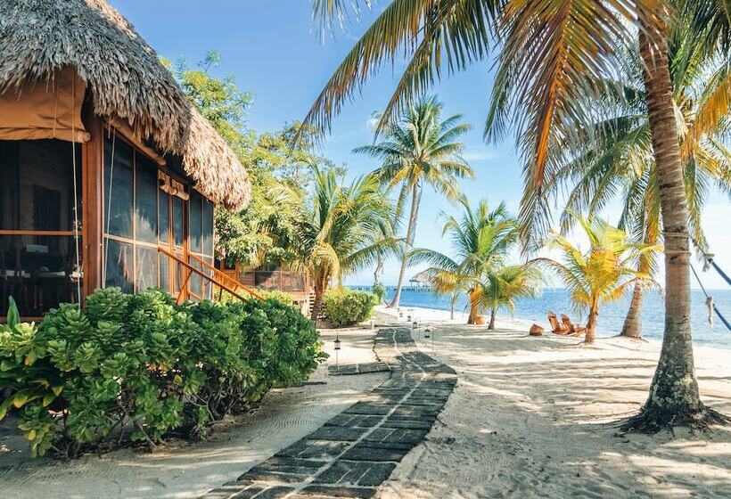 אתר נופש Turtle Inn By Francis Ford Coppola