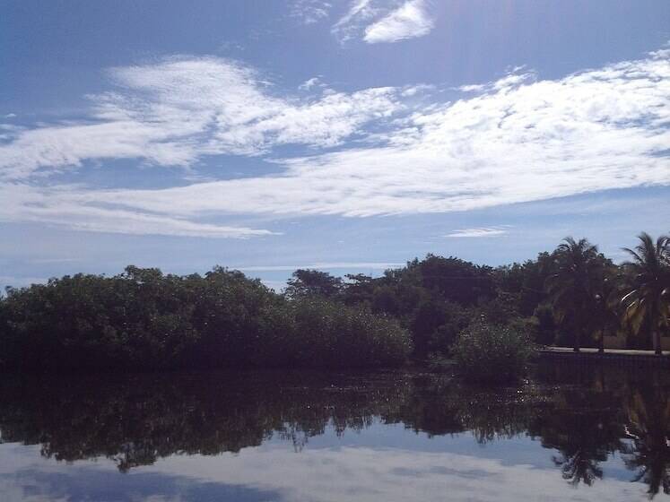Sailfish Resort