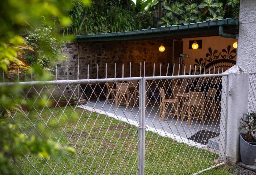 Общежитие Bunkalow