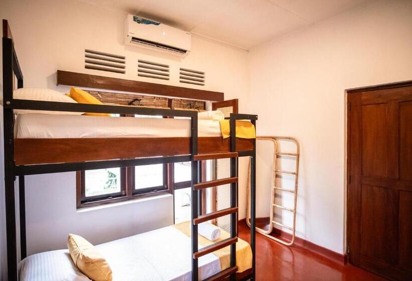 Общежитие Bunkalow