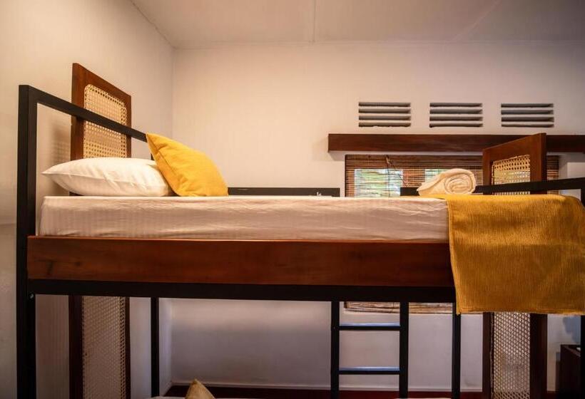 Общежитие Bunkalow