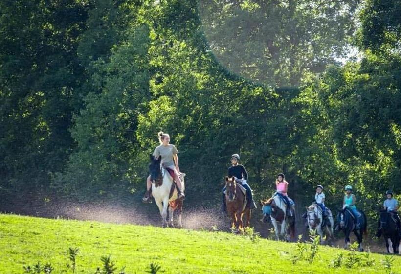 旅馆 Gavin S Iris H Country Inn