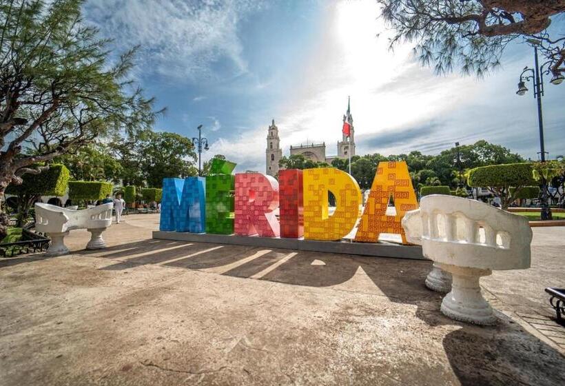 هاستل Room Cuzama Disfruta De Este Paraiso