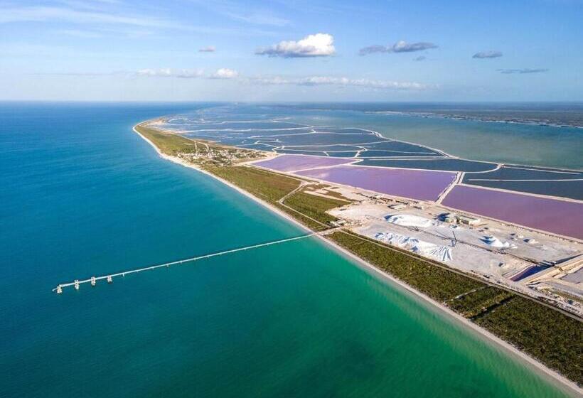 فندق صغير Room Cuzama Disfruta De Este Paraiso