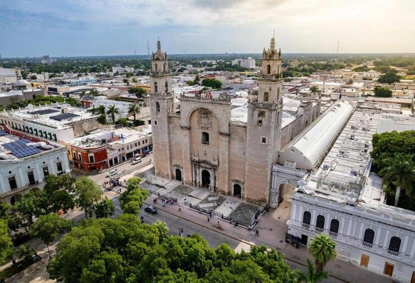 هاستل Room Cuzama Disfruta De Este Paraiso