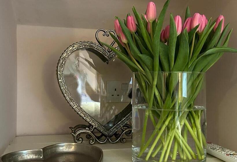 הוסטל The Stagg Inn & Classic Car Experience