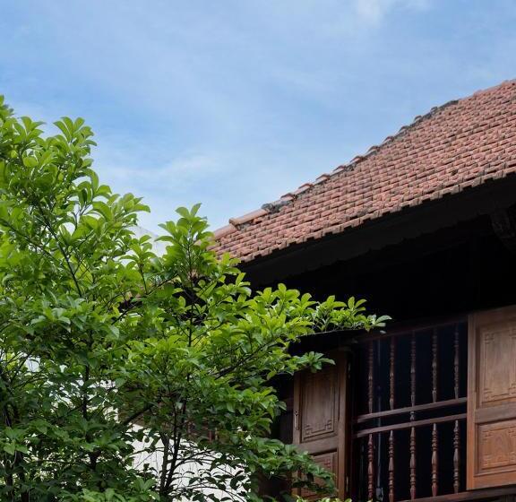 هاستل Woodyhouse Ninh Binh Free Bbq Garden