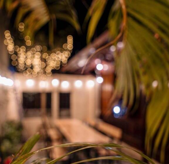 هاستل Woodyhouse Ninh Binh Free Bbq Garden