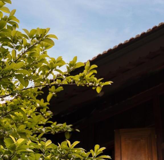 هاستل Woodyhouse Ninh Binh Free Bbq Garden