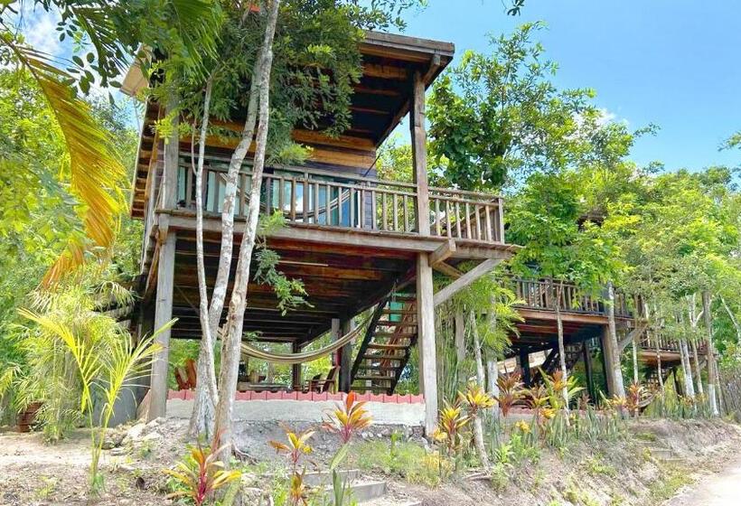 Общежитие Xu La Azul