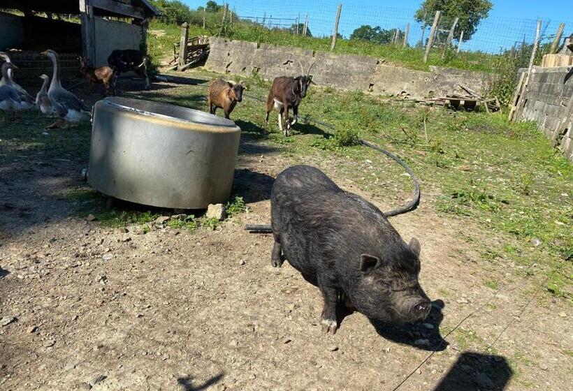 Bed and Breakfast La Pautière