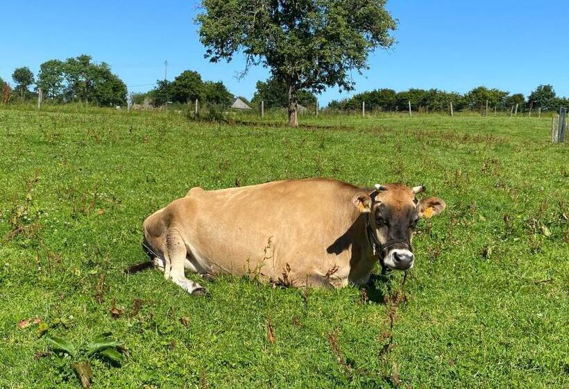 Bed and Breakfast La Pautière
