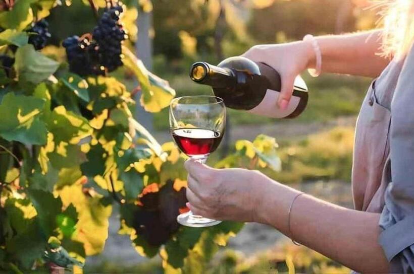 민박 La Tenuta Dei Fichi D India