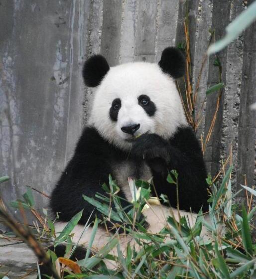 住宿加早餐  Le Clos De L Ecu