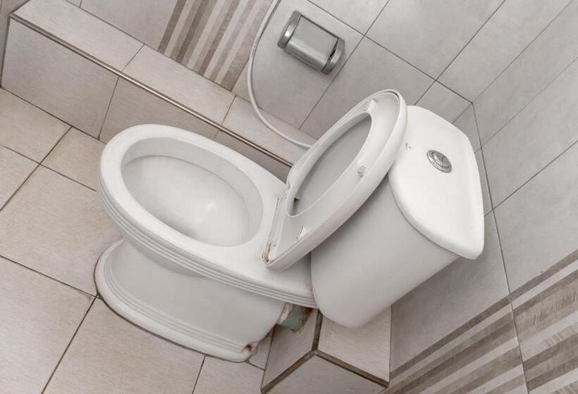 住宿加早餐 Lifetyme Homes