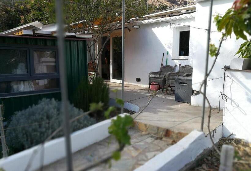 Bett Im Hostel öko Finca Mogan