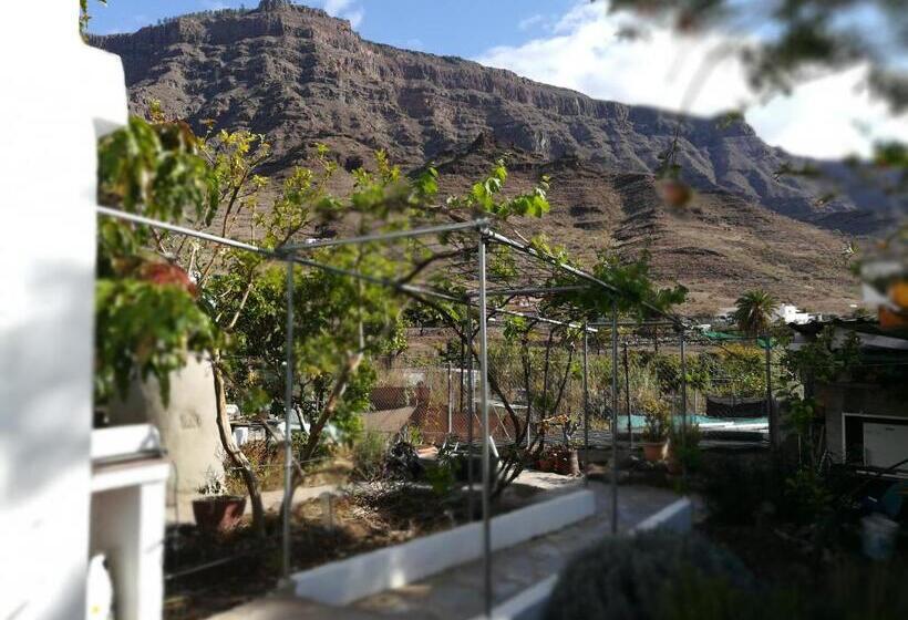 Bett Im Hostel öko Finca Mogan