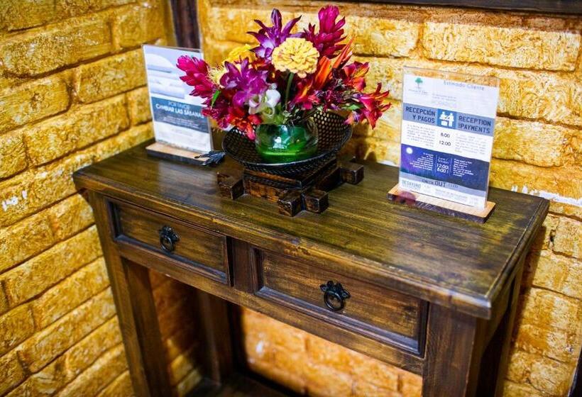 هتل Arrayan Y Piedra