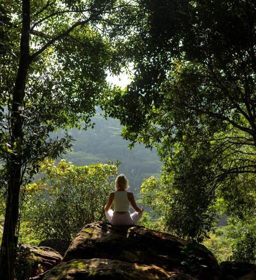 Отель Ferndale Retreat Luxury Eco Resort Kandy