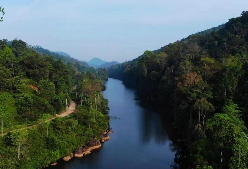 فندق Giants Forest