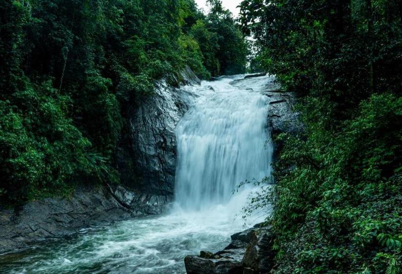 فندق Giants Forest
