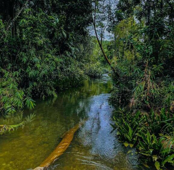 فندق Giants Forest