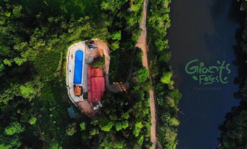 فندق Giants Forest