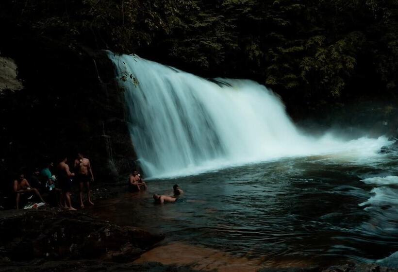 فندق Giants Forest
