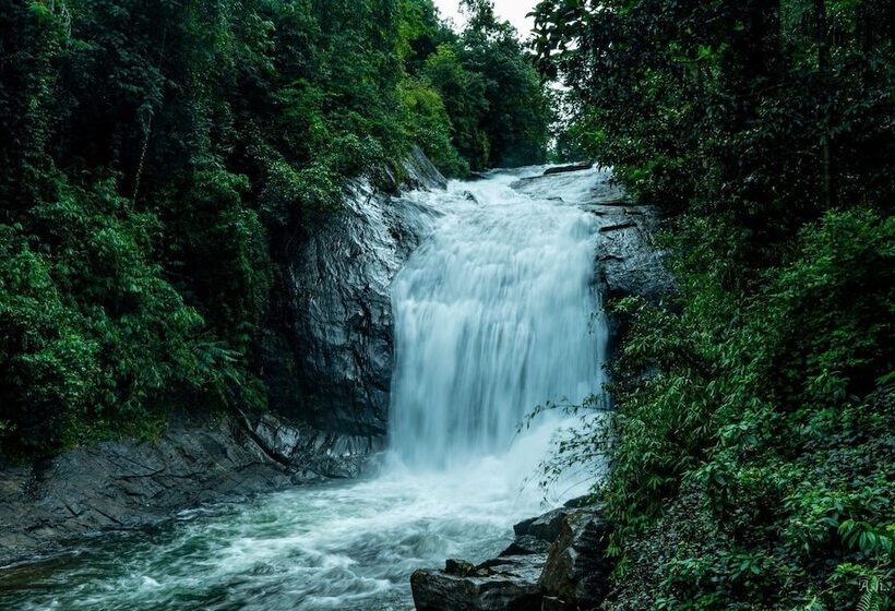 فندق Giants Forest