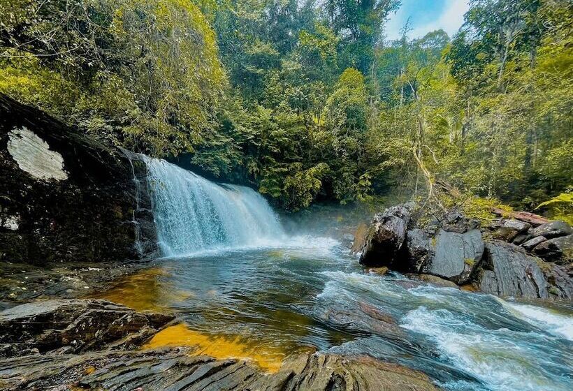 فندق Giants Forest
